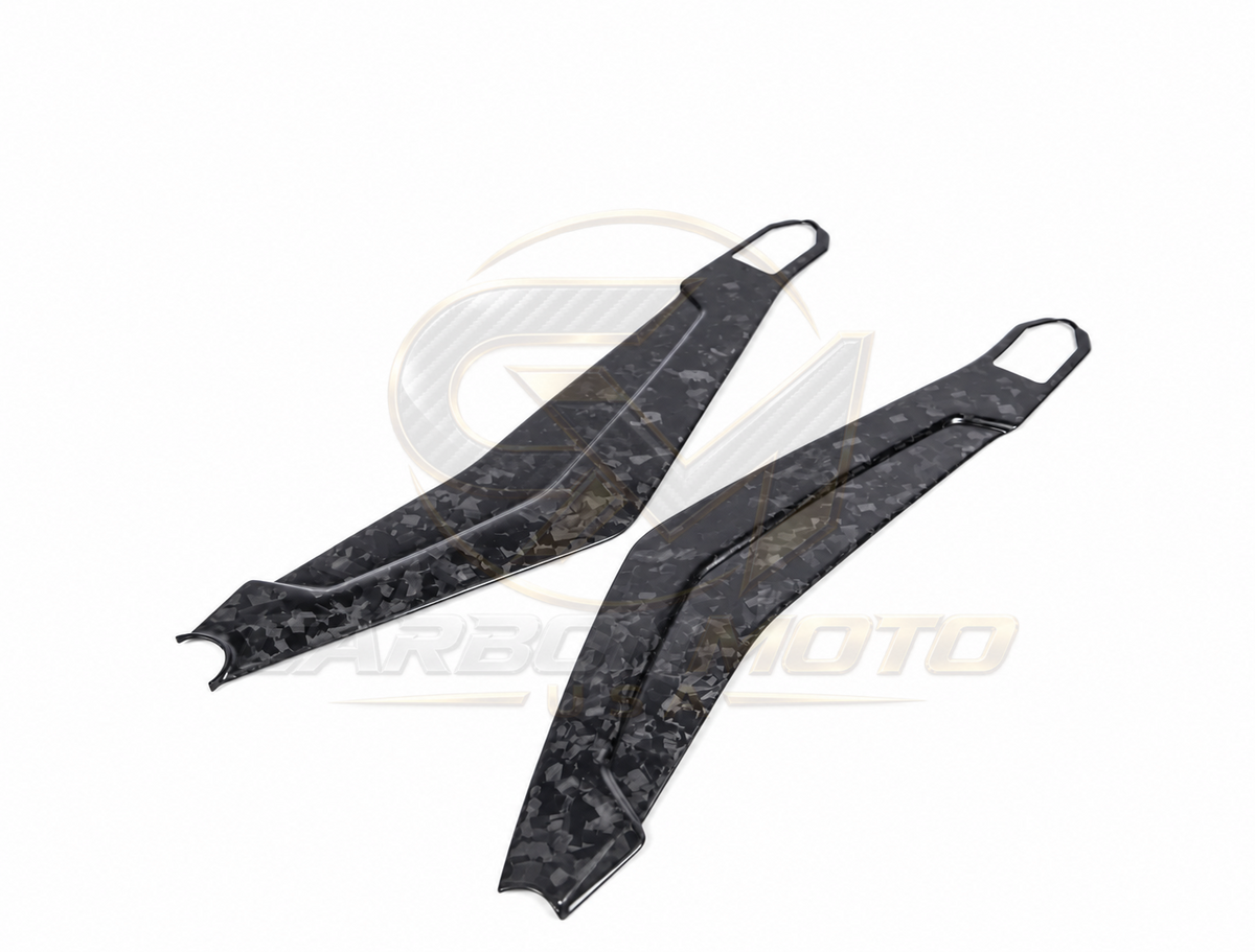 Harley Davidson Pan America Carbon Fiber Swingarm Covers