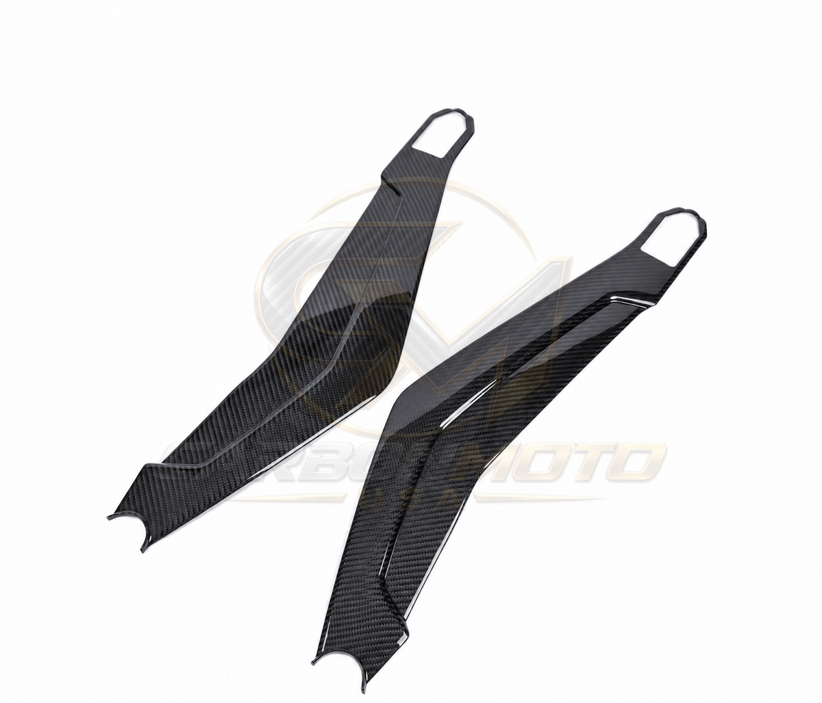 Harley Davidson Pan America Carbon Fiber Swingarm Covers