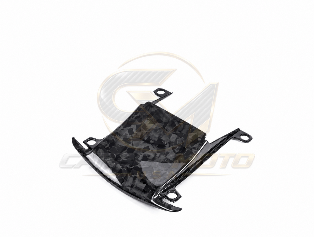 Harley Davidson Pan America Carbon Fiber Windscreen InFill Panel