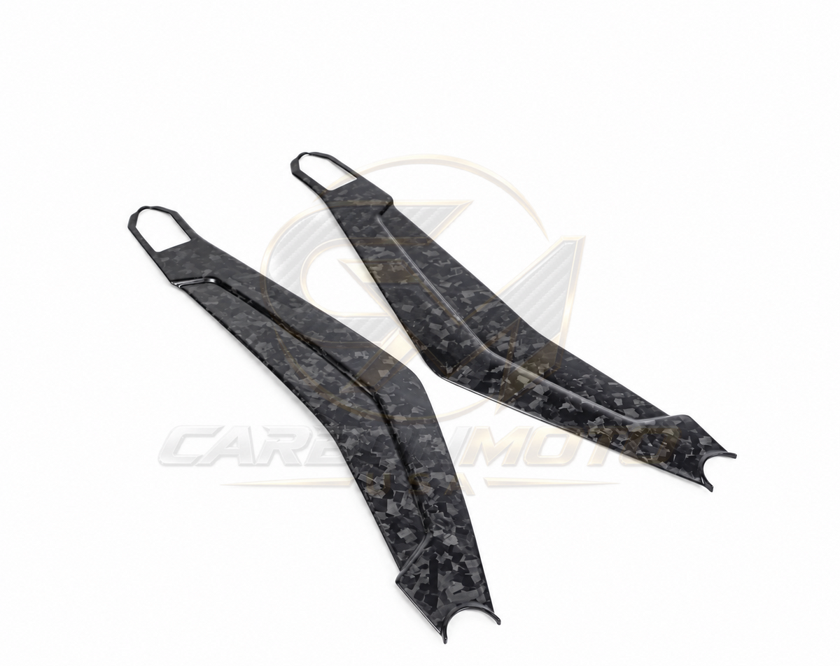 Harley Davidson Pan America Carbon Fiber Swingarm Covers