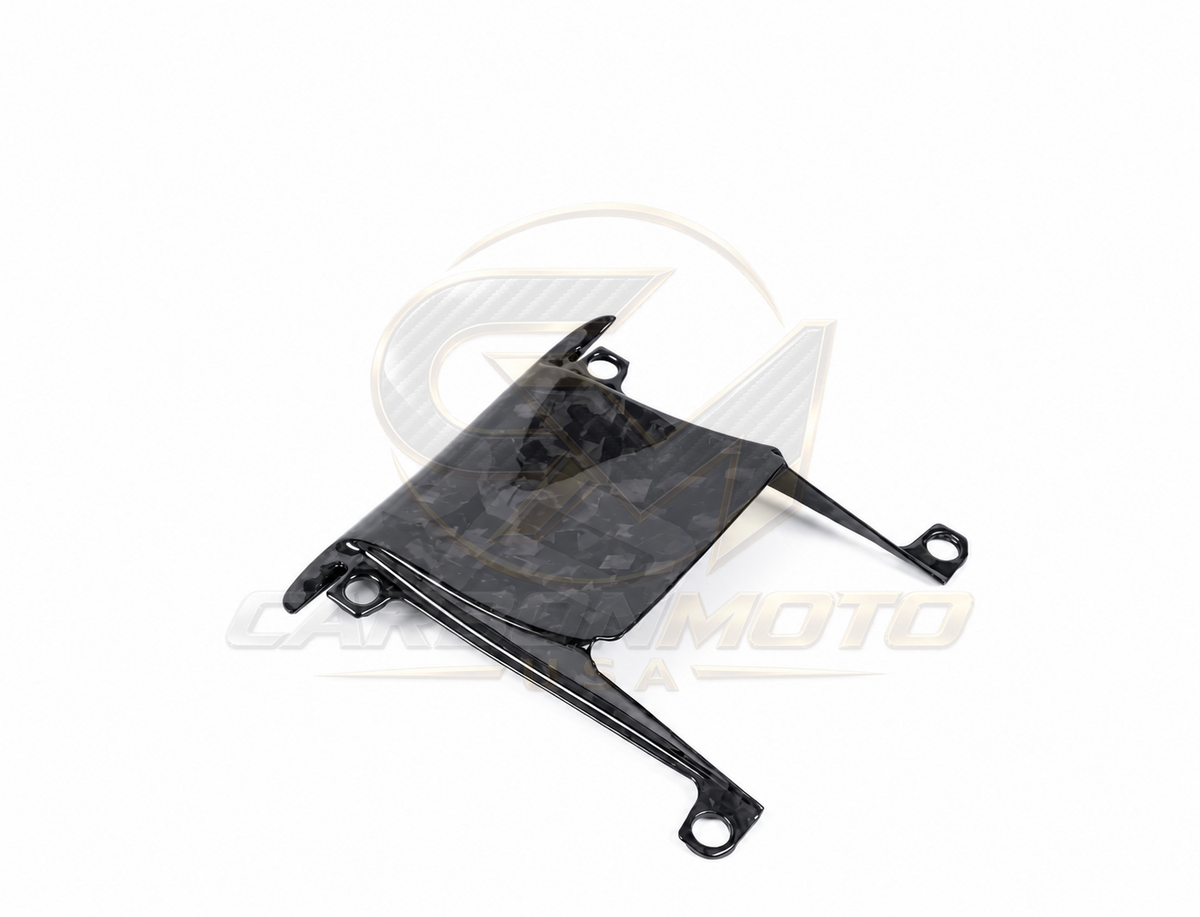 Harley Davidson Pan America Carbon Fiber Windscreen InFill Panel