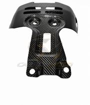 Harley Davidson Pan America Carbon Fiber Belly Pan