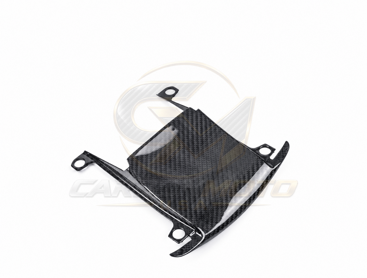 Harley Davidson Pan America Carbon Fiber Windscreen InFill Panel