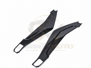 Harley Davidson Pan America Carbon Fiber Swingarm Covers